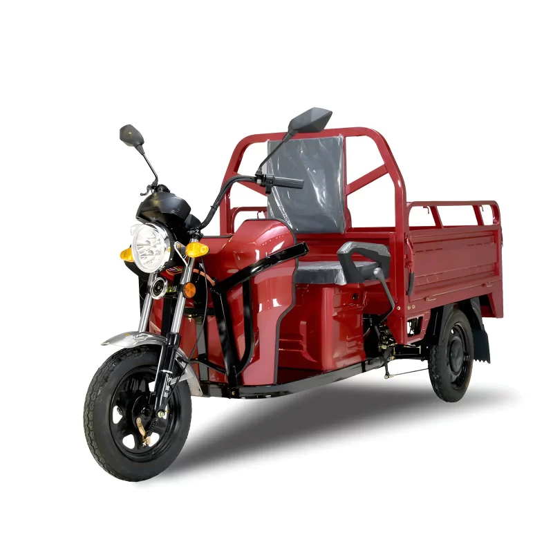 Cargo Passenger Electric Tricycle