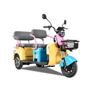 Electric Leisure Tricycle